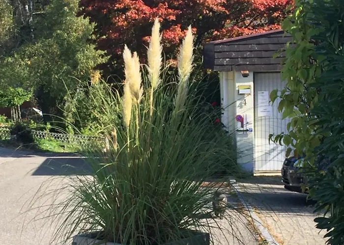 Joline Private Guest Just Feel At Lejlighed *